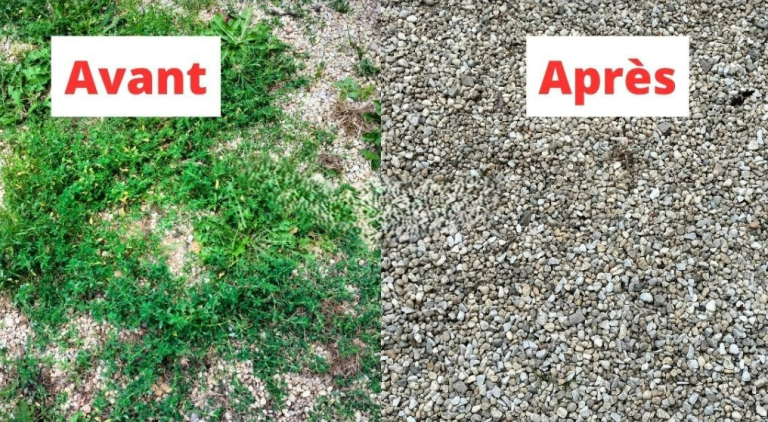 avant après desherbant naturel
